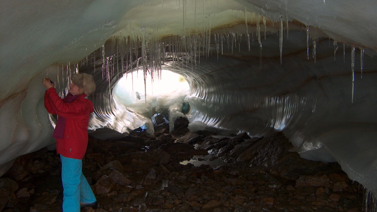 Image Credit: Tflorica - CC BY-SA 4.0/Wiki Commons