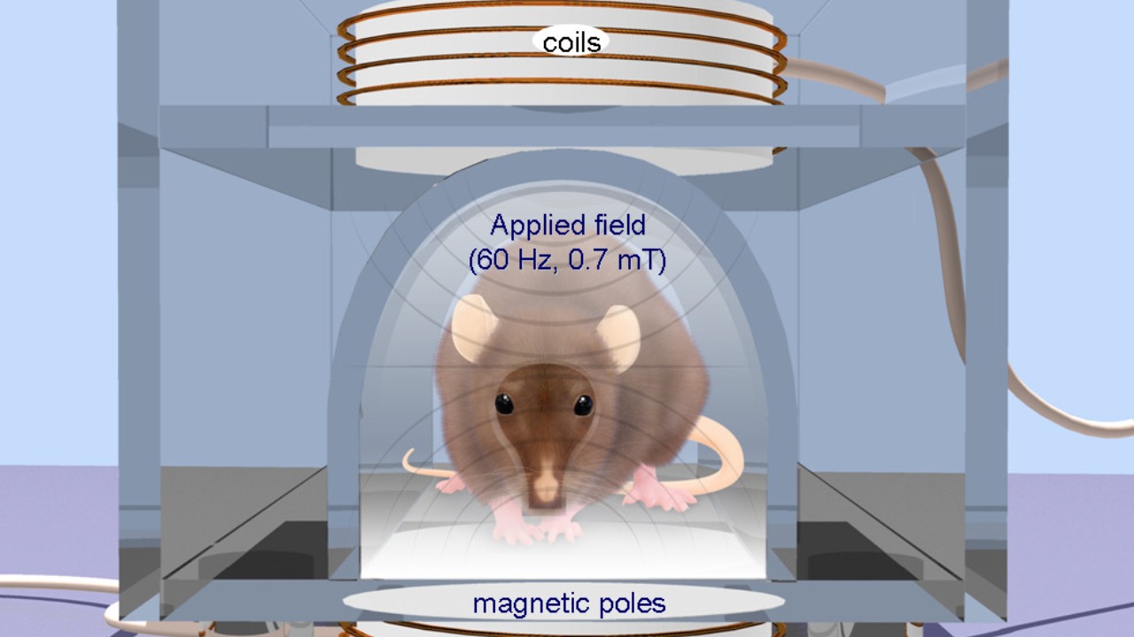 Image Credit: Oscar Arias-Carrión - CC BY 2.0/Wiki Commons