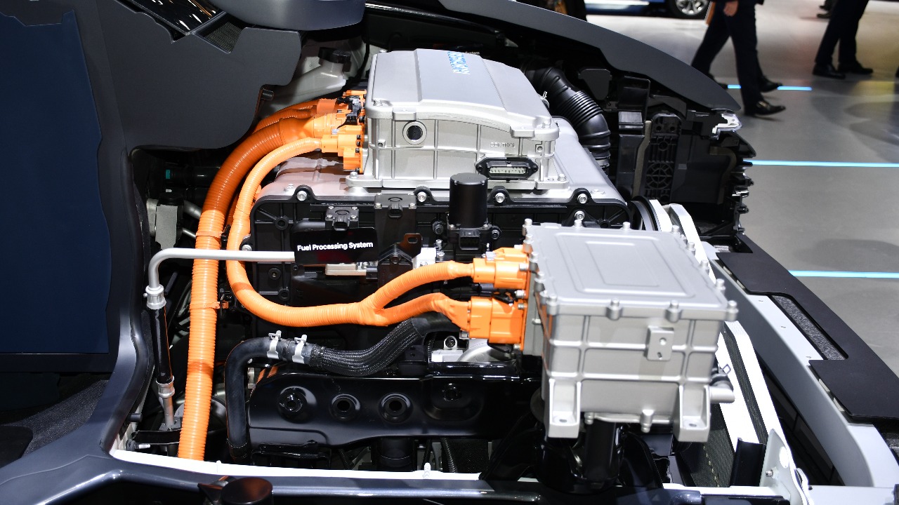 Image Credit: Dr. Artur Braun (Arturbraun) - CC BY-SA 4.0/Wiki Commons