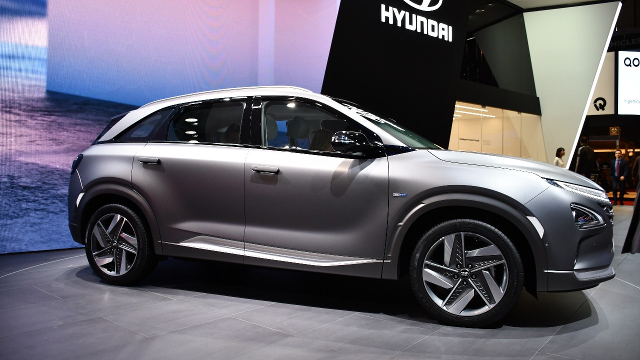 Image Credit: Dr. Artur Braun (Arturbraun) - CC BY-SA 4.0/Wiki Commons