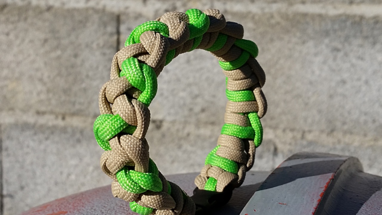 Image Credit: Jean Paul GIBERT - CC BY-SA 4.0/Wiki Commons