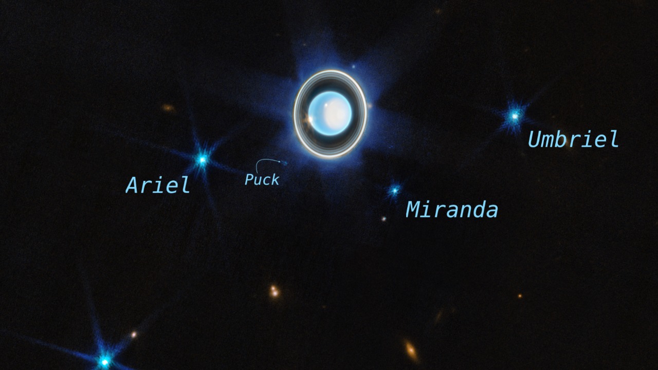 Image Credit: SCIENCE: NASA, ESA, CSA, STScI; IMAGE PROCESSING: Joseph DePasquale (STScI) - Public domain/Wiki Commons