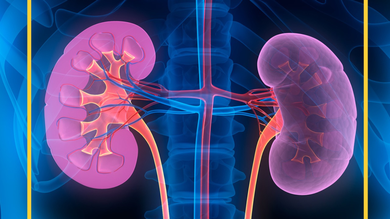 Image Credit: CDC - Public domain/Wiki Commons