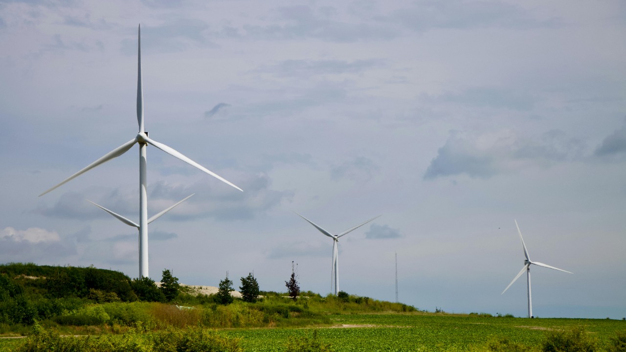 Eclipse Chasers/Pexels