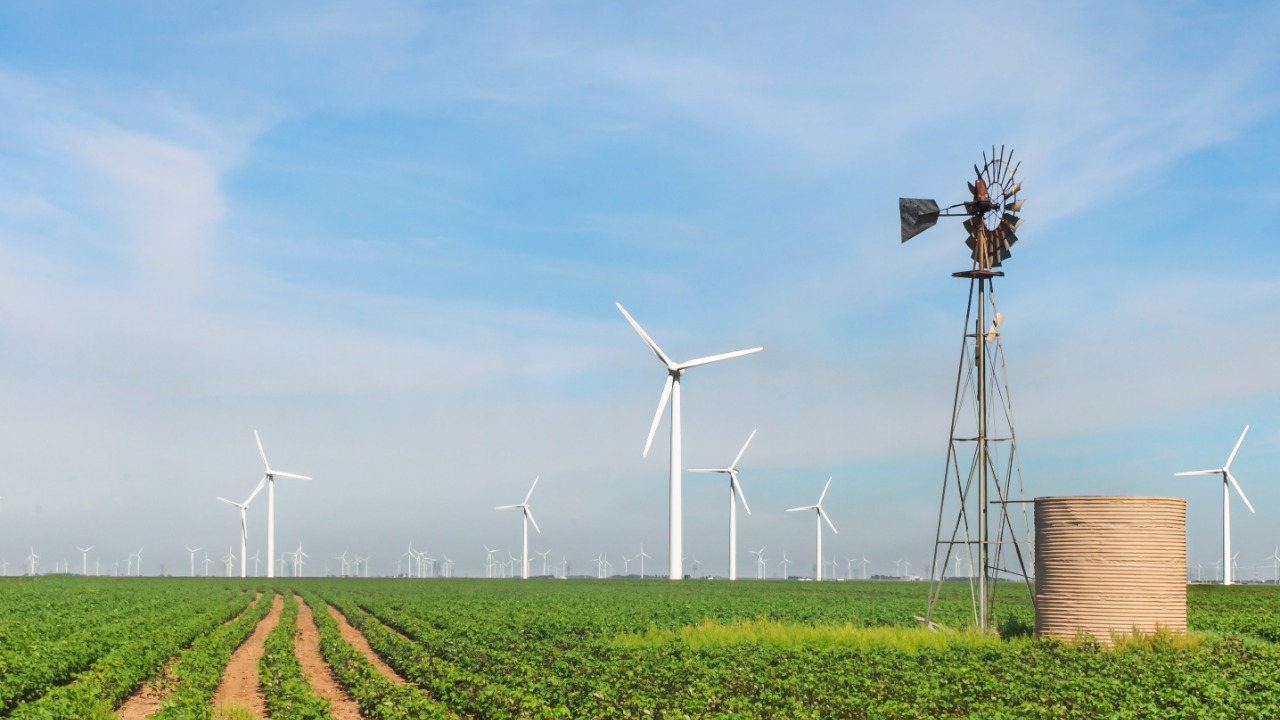 Image Credit: Matthew T Rader - CC BY-SA 4.0/Wiki Commons