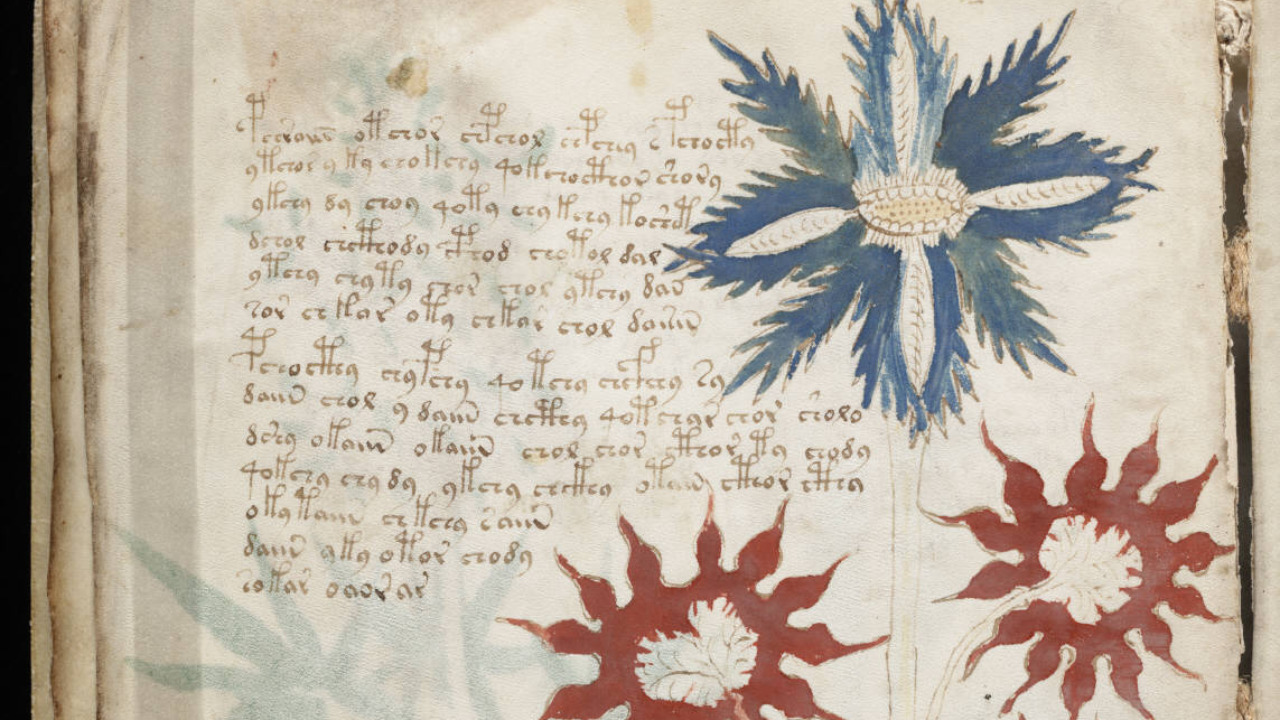 Image Credit: Unknown authorUnknown author - Public domain/Wiki Commons