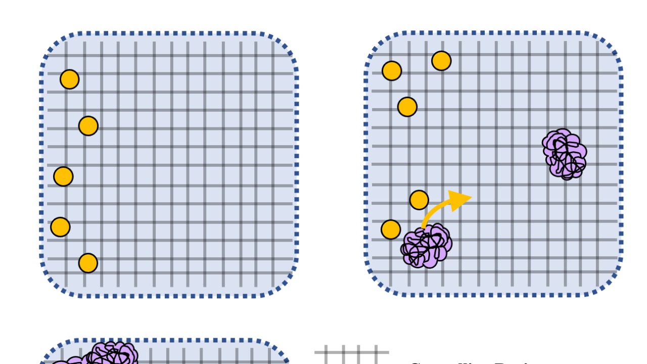 Image Credit: Nanomaterials21 - CC BY-SA 4.0/Wiki Commons