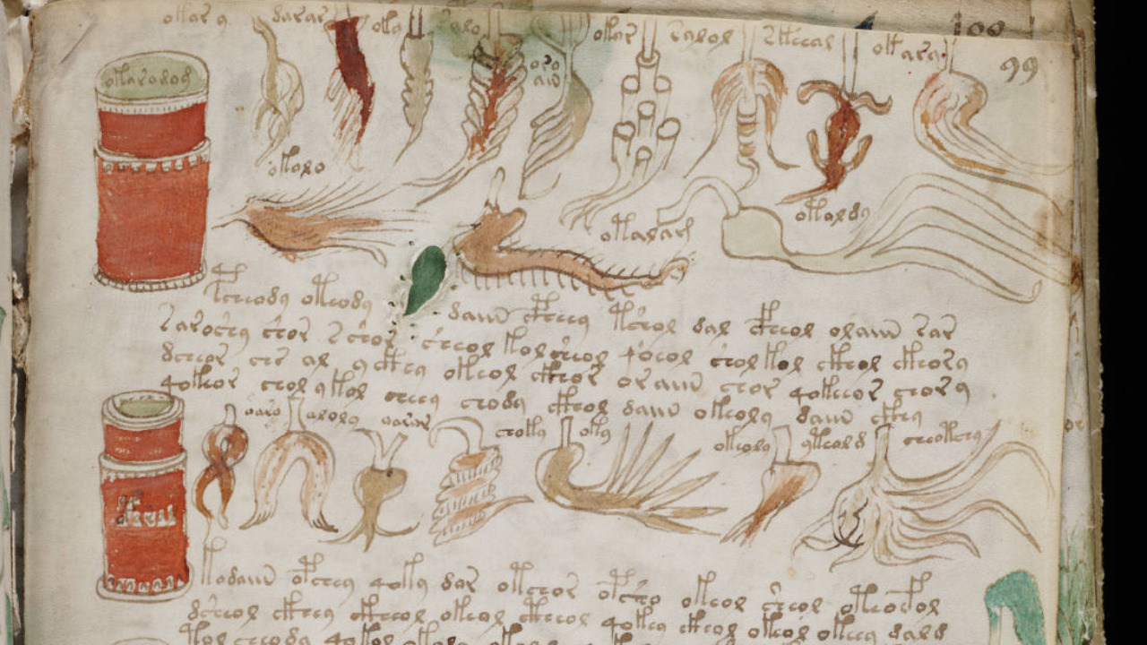 Image Credit: Unknown authorUnknown author - Public domain/Wiki Commons