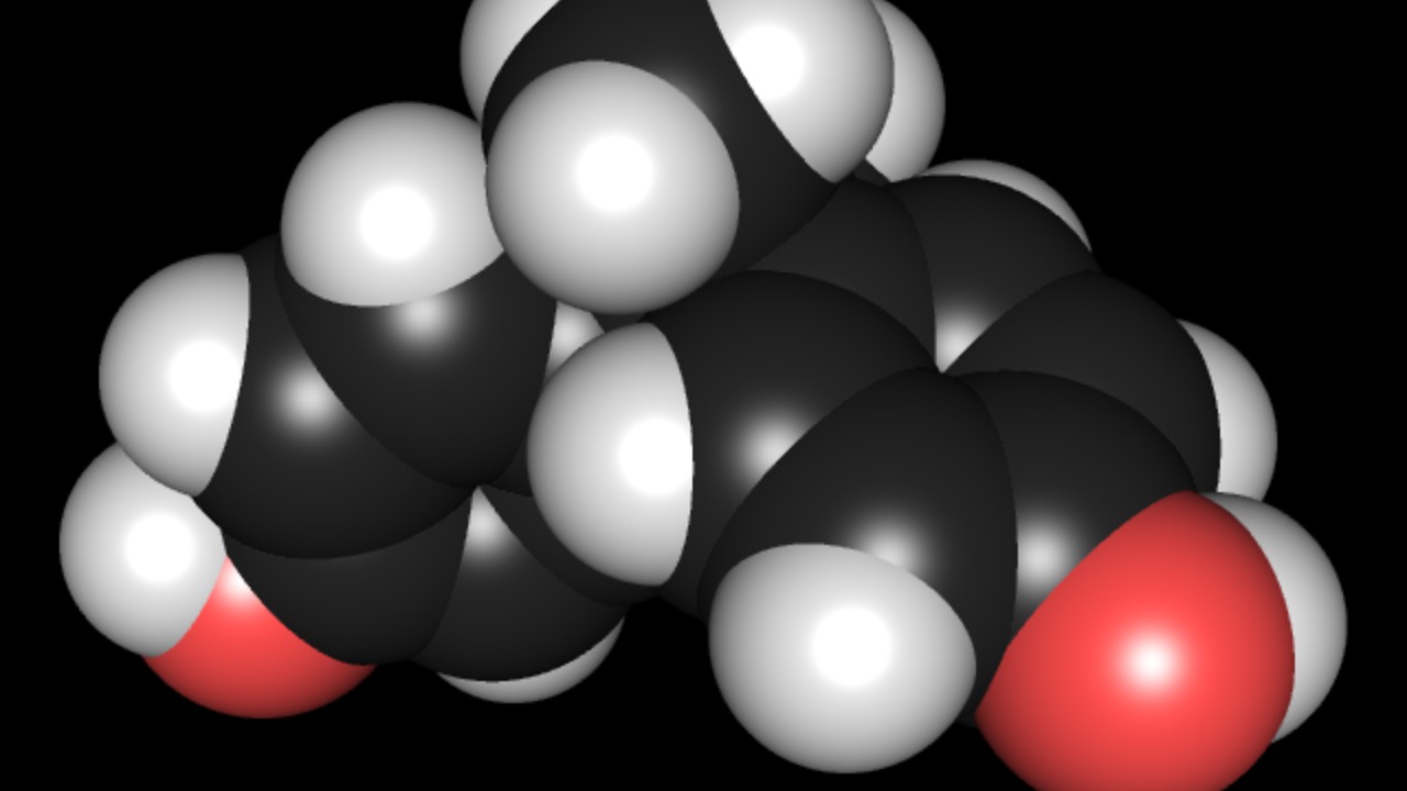 Image Credit: Edgar181 - Public domain/Wiki Commons