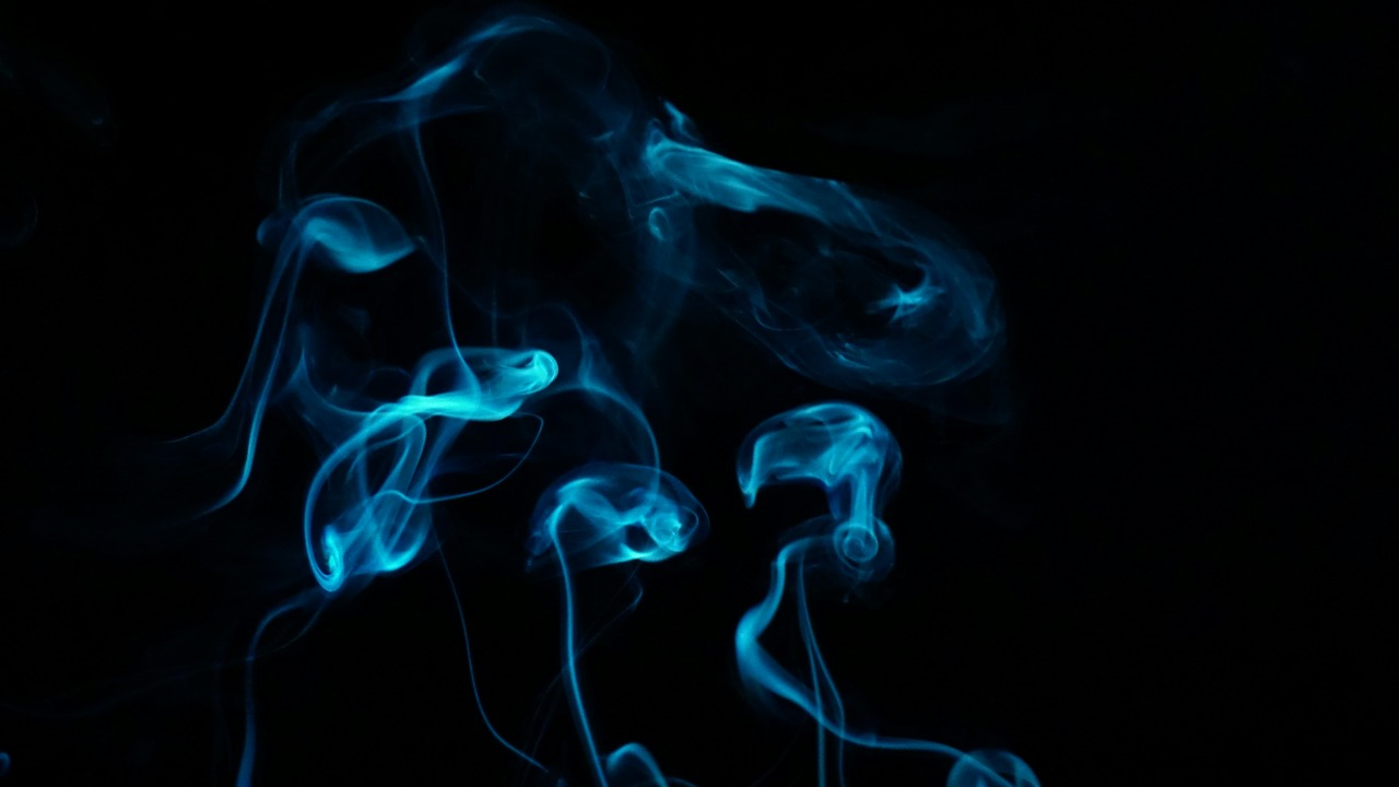 nihaldemirci/Unsplash