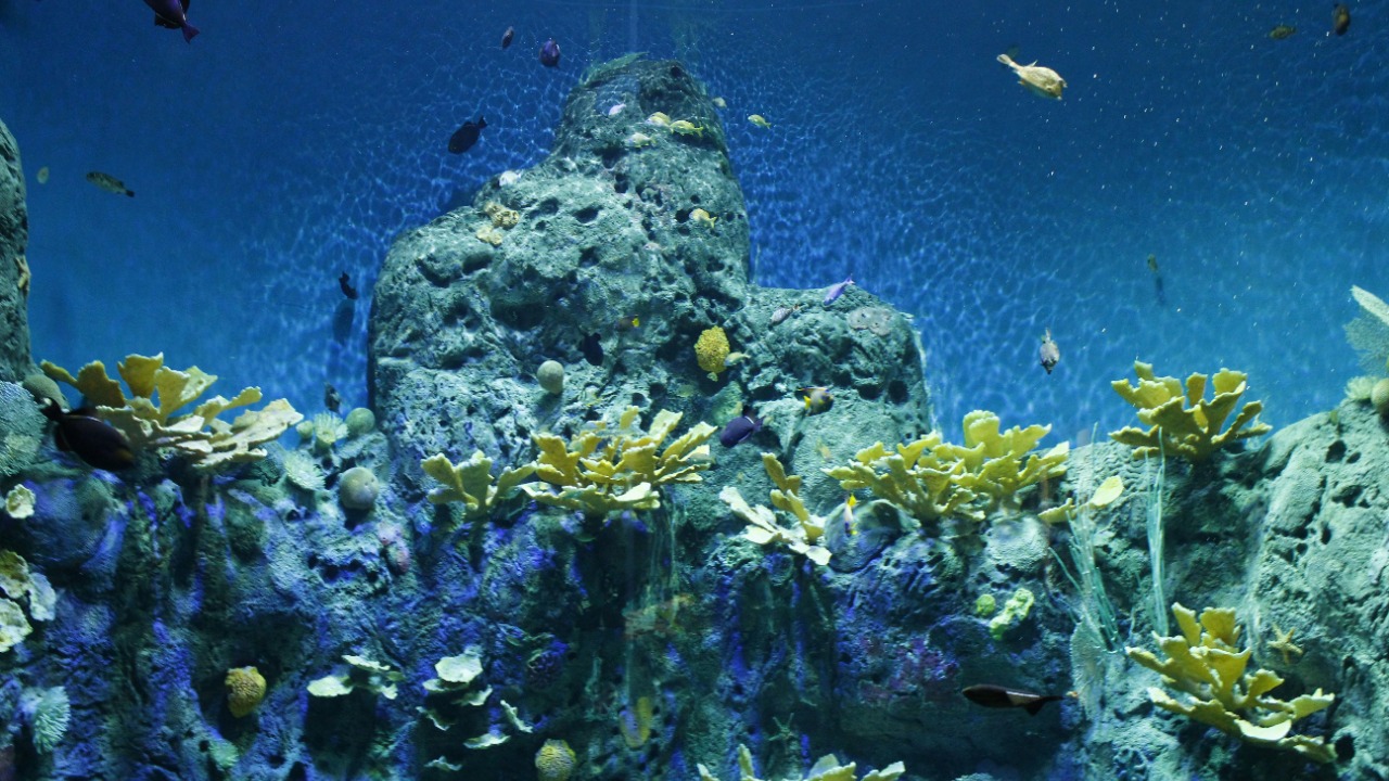 diegoarias2461/Unsplash