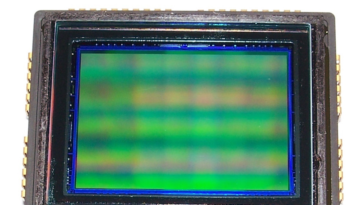 Image Credit: User:Andrzej_w_k_2 - CC BY 4.0/Wiki Commons