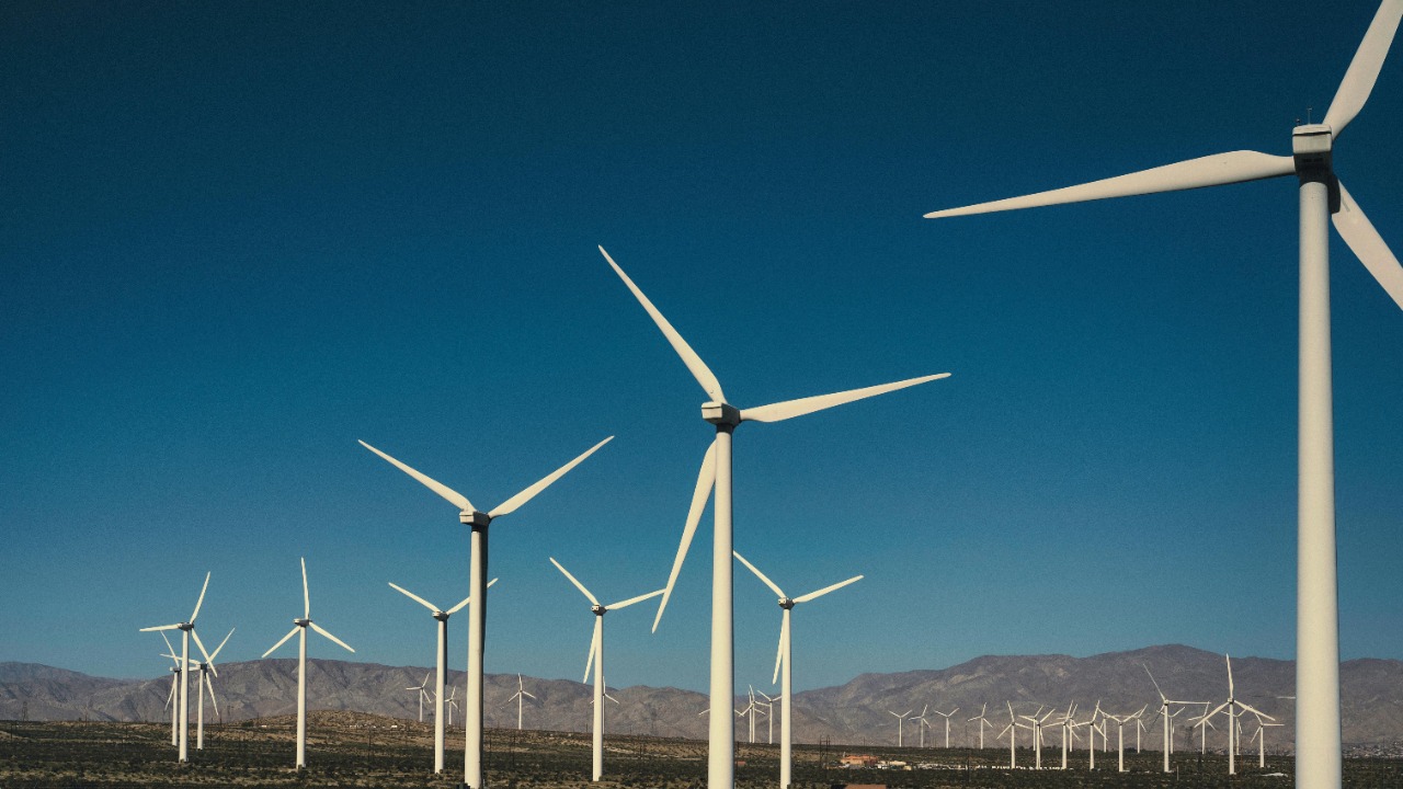 Alfo Medeiros/Pexels