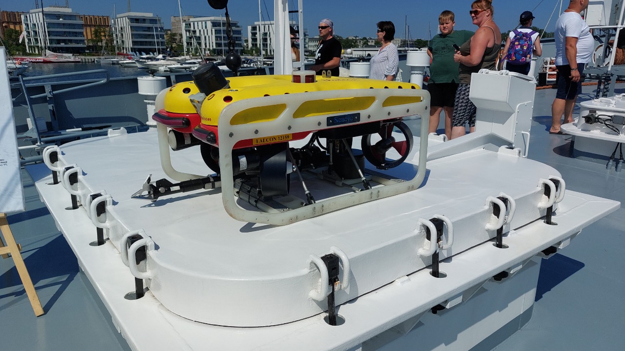 Image Credit: Szymon Rutkowski - CC BY-SA 4.0/Wiki Commons