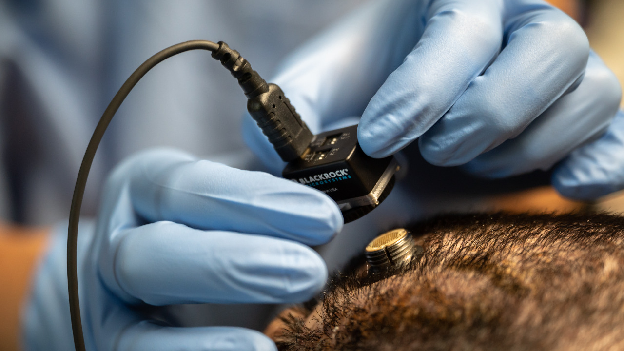 Image Credit: Mike Cai Chen - CC0/Wiki Commons