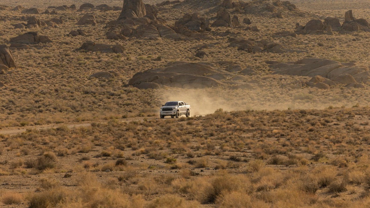 leo_visions_/Unsplash