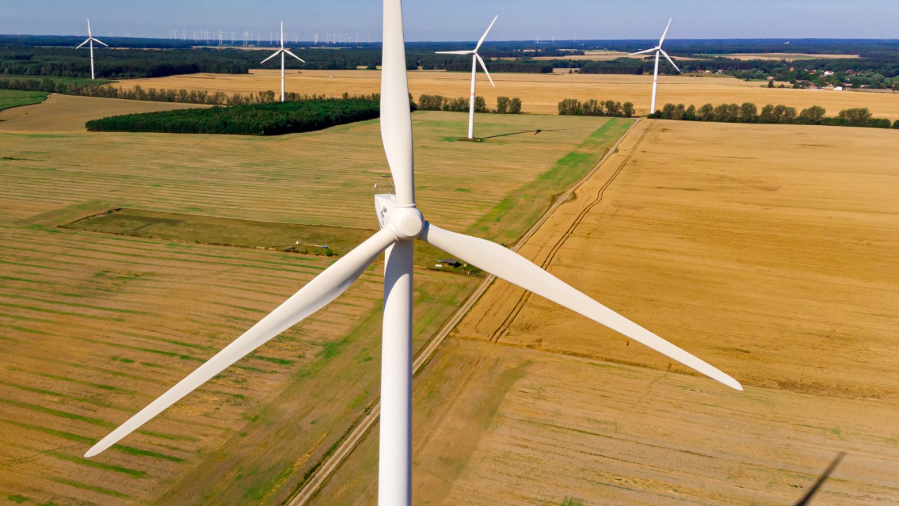 Image Credit: Daniela Kloth - GFDL 1.2/Wiki Commons