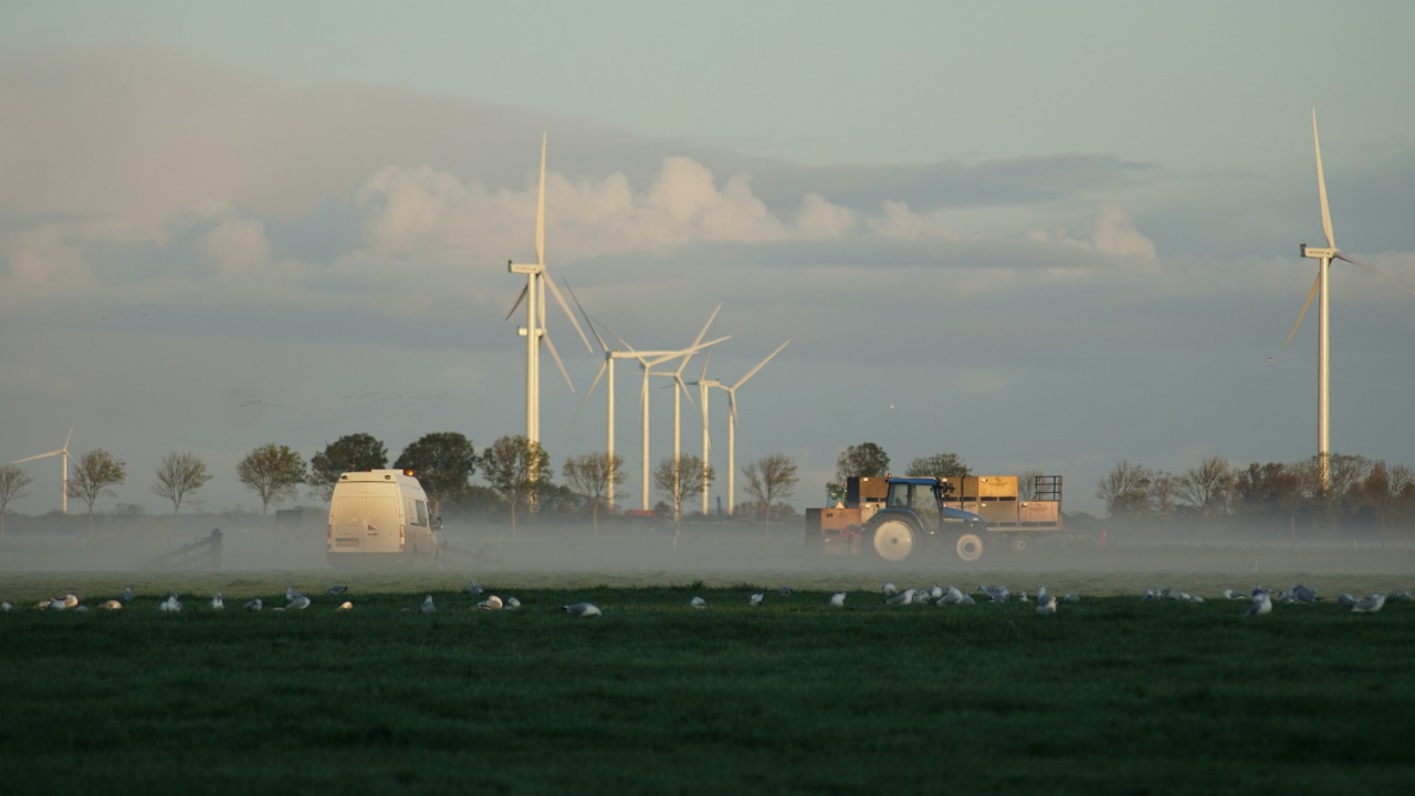 carolienvanoijen/Unsplash