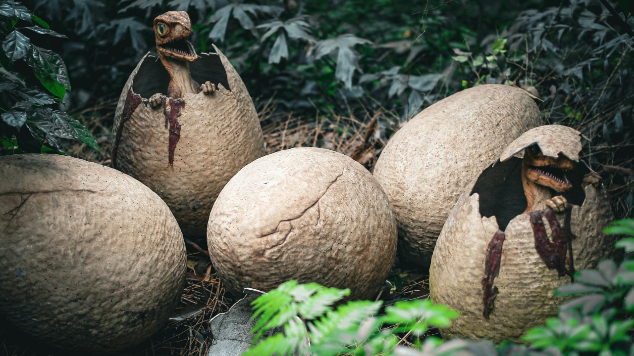 Mehmet Turgut Kirkgoz/Pexels