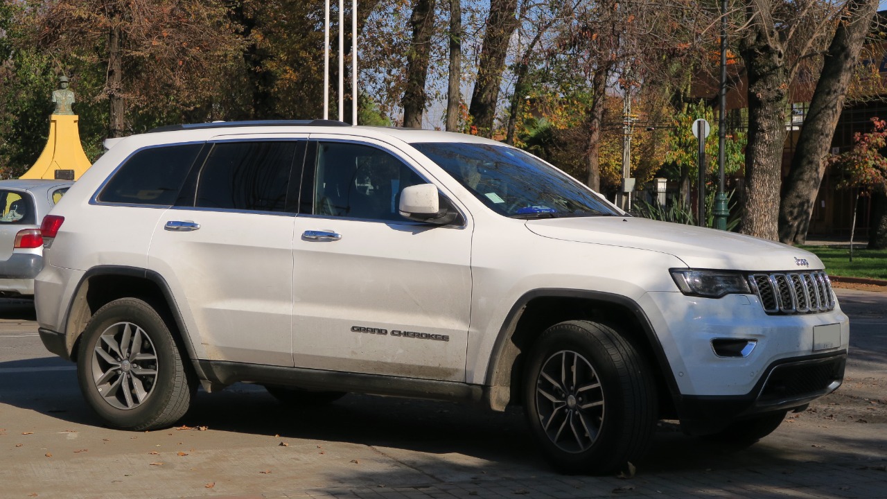 Image Credit: RL GNZLZ from Chile - CC BY-SA 2.0/Wiki Commons