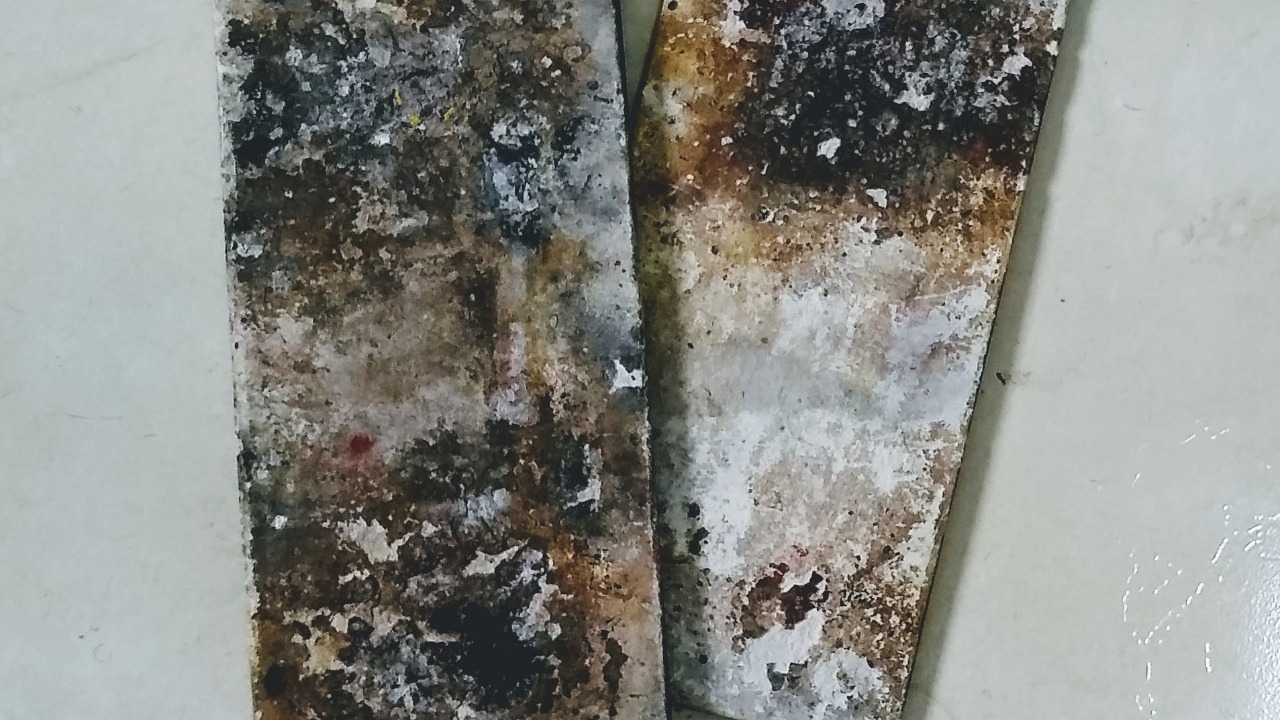 Image Credit: Mauro Cateb - CC BY-SA 4.0/Wiki Commons