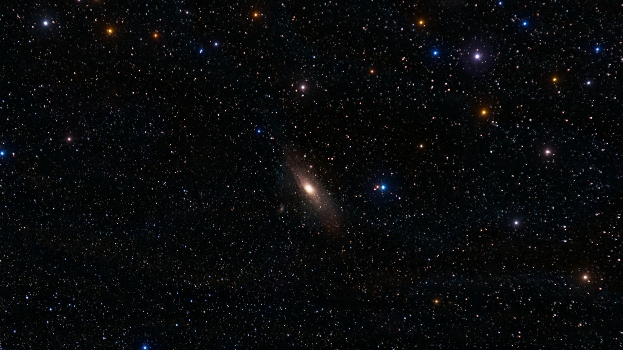 Alberlan Barros/Pexels