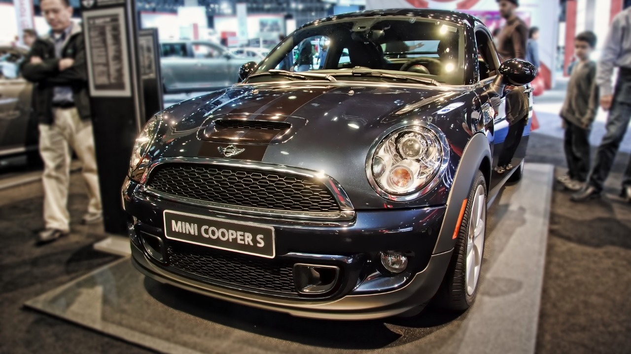 Image Credit: Chris Yarzab from  , USA - CC BY 2.0/Wiki Commons