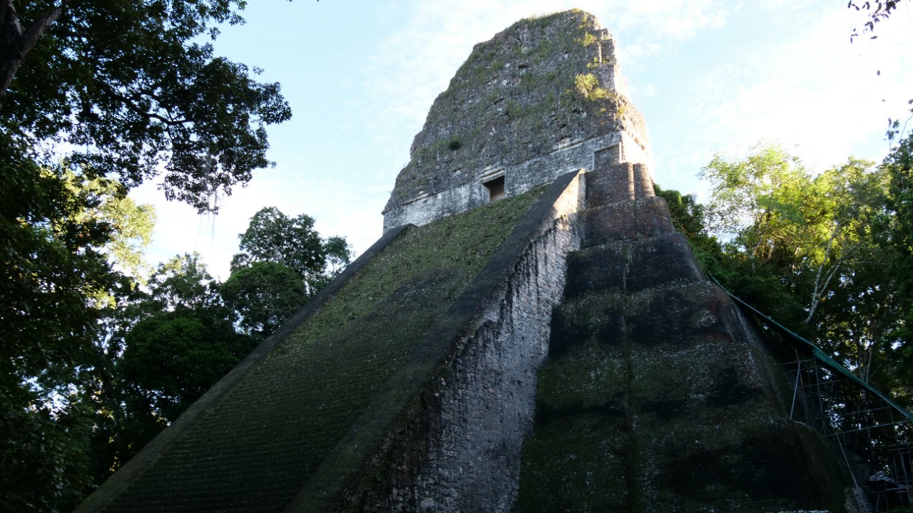 florian_delee/Unsplash