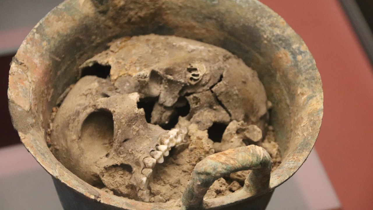 Image Credit: Gary Todd - CC0/Wiki Commons