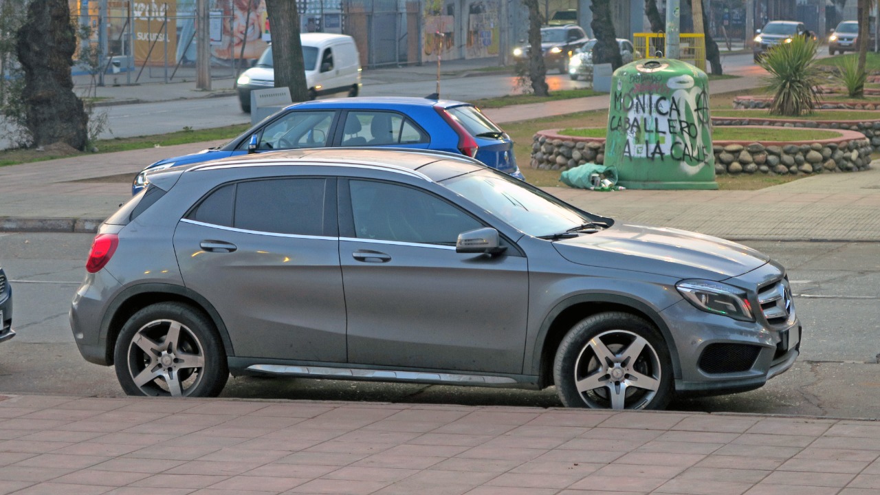 Image Credit: RL GNZLZ from Chile - CC BY-SA 2.0/Wiki Commons