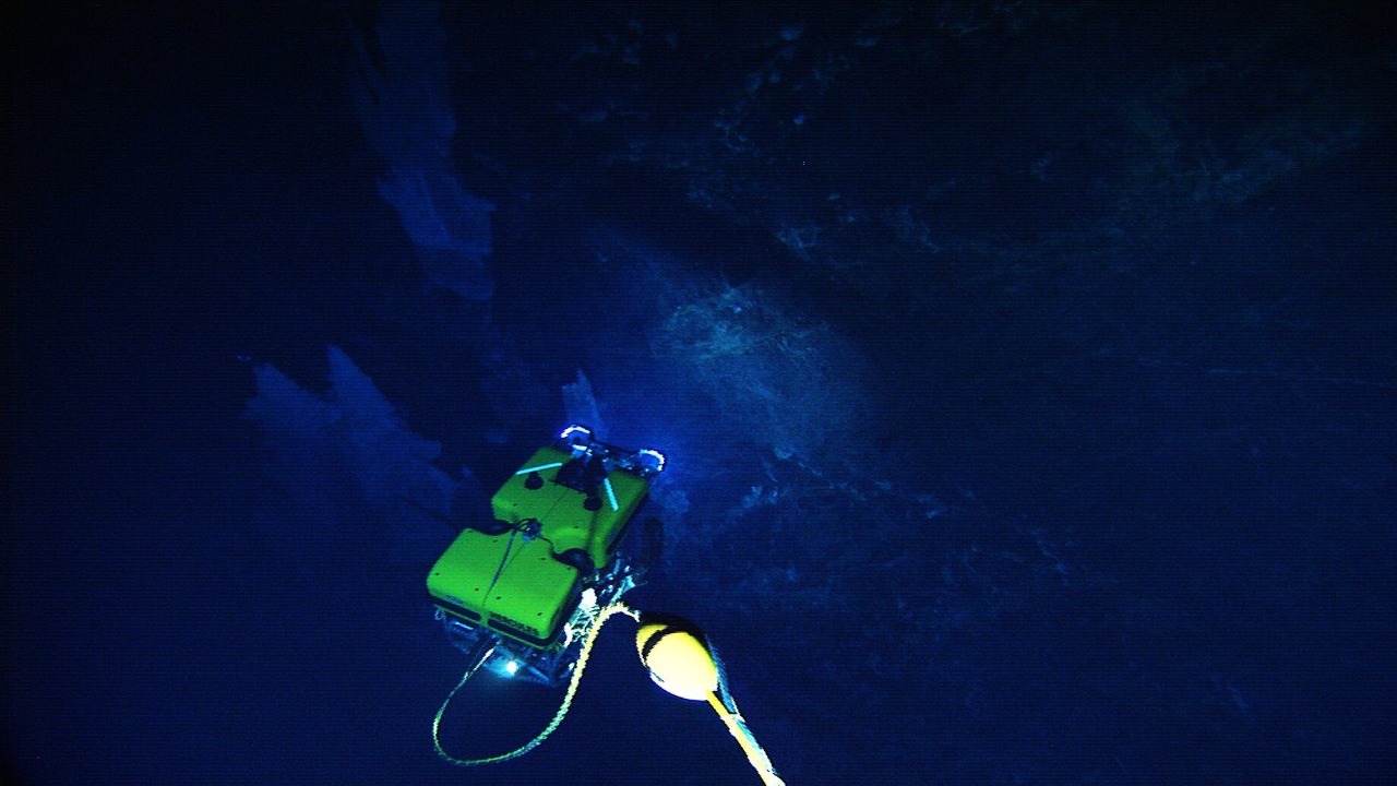 Image Credit: IFE, URI-IAO, UW, Lost City Science Party; NOAA/OAR/OER; The Lost City 2005 Expedition. - Public domain/Wiki Commons