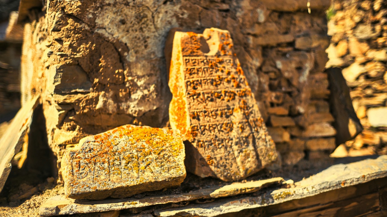 raimondklavins/Unsplash