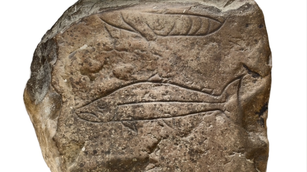 Image Credit: Synchronium - CC BY-SA 4.0/Wiki Commons