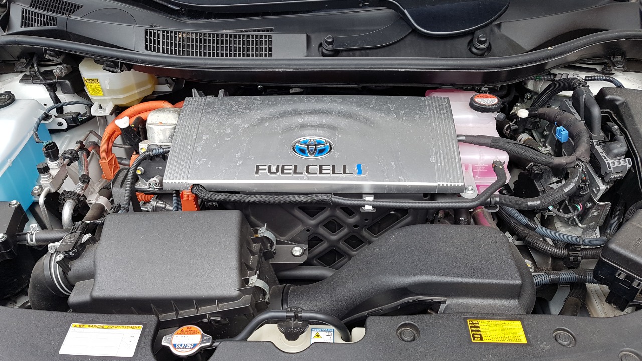 Image Credit: Michael Kramer - CC BY-SA 3.0/Wiki Commons