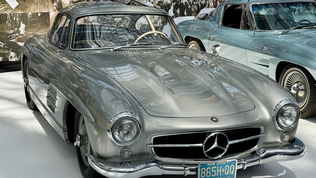 Image Credit: This picture has been taken by Oleg Yunakov. Contact e-mail: yunakovgmail.com. Image can be used in accordance with the terms of the СС-BY-SA license. Other photos can be seen here. - CC BY-SA 4.0/Wiki Commons