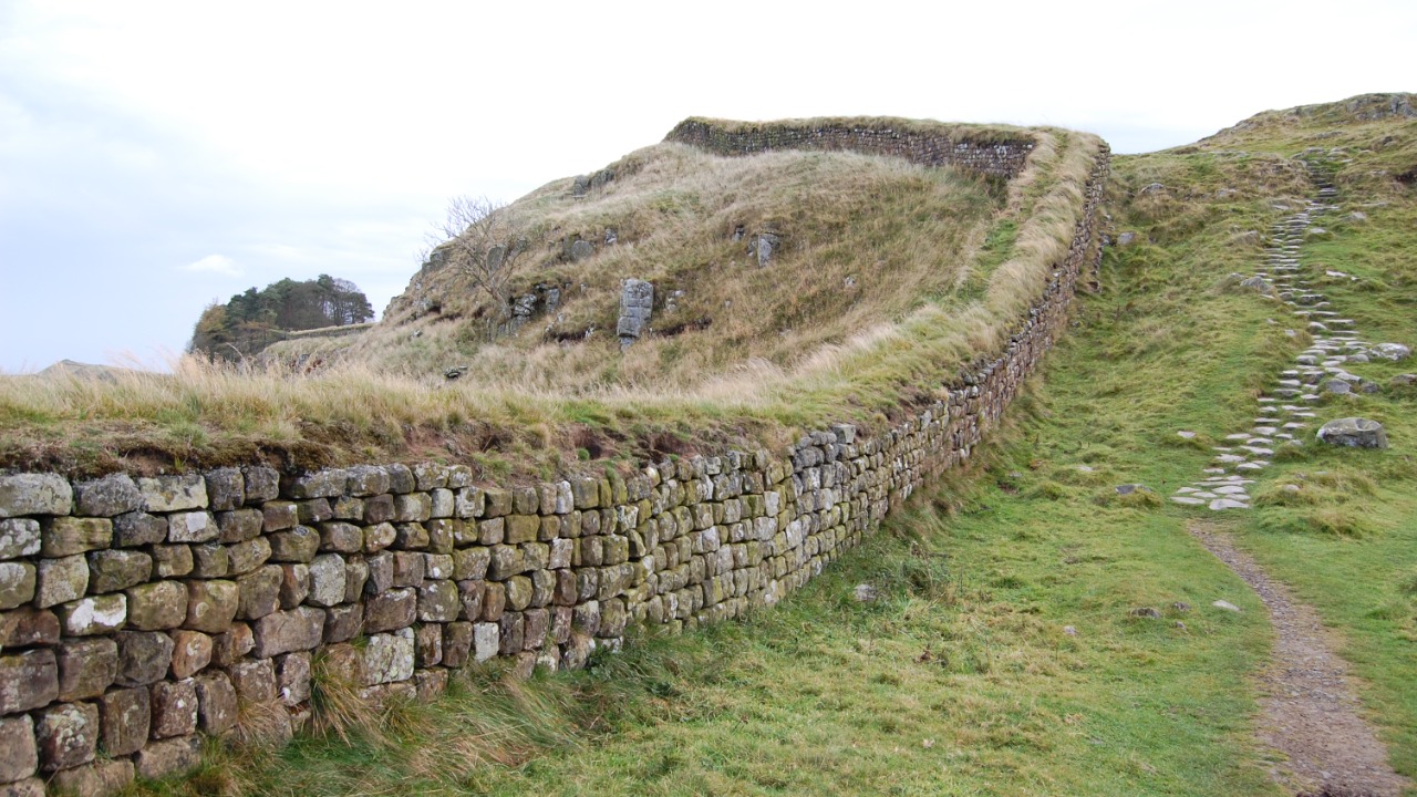 Image Credit: Steven Fruitsmaak - Public domain/Wiki Commons