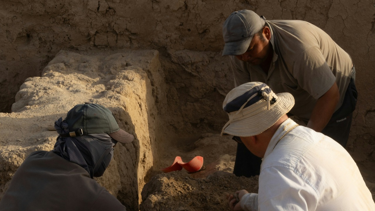 aleksander_stypczynski/Unsplash