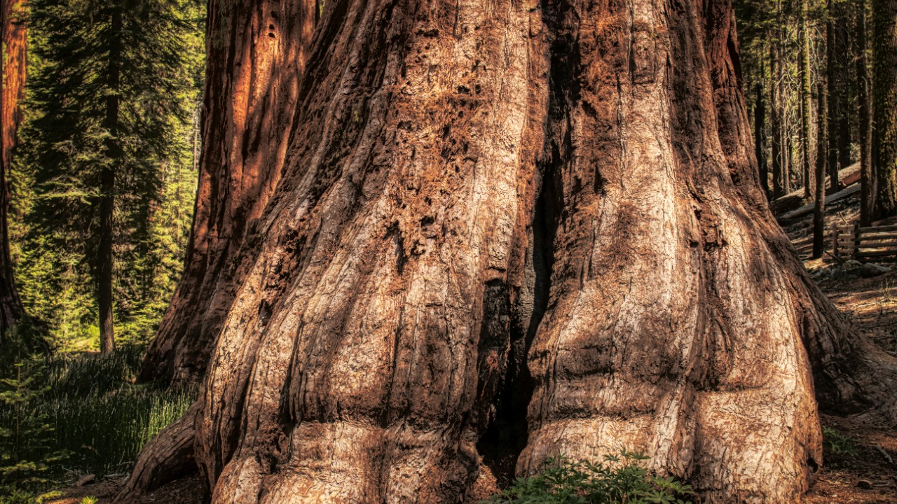 mariolagr/Unsplash