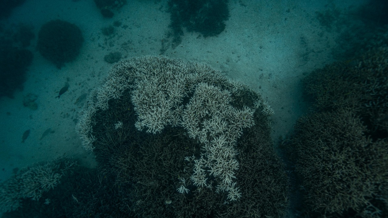 Oscar Trisley/Pexels