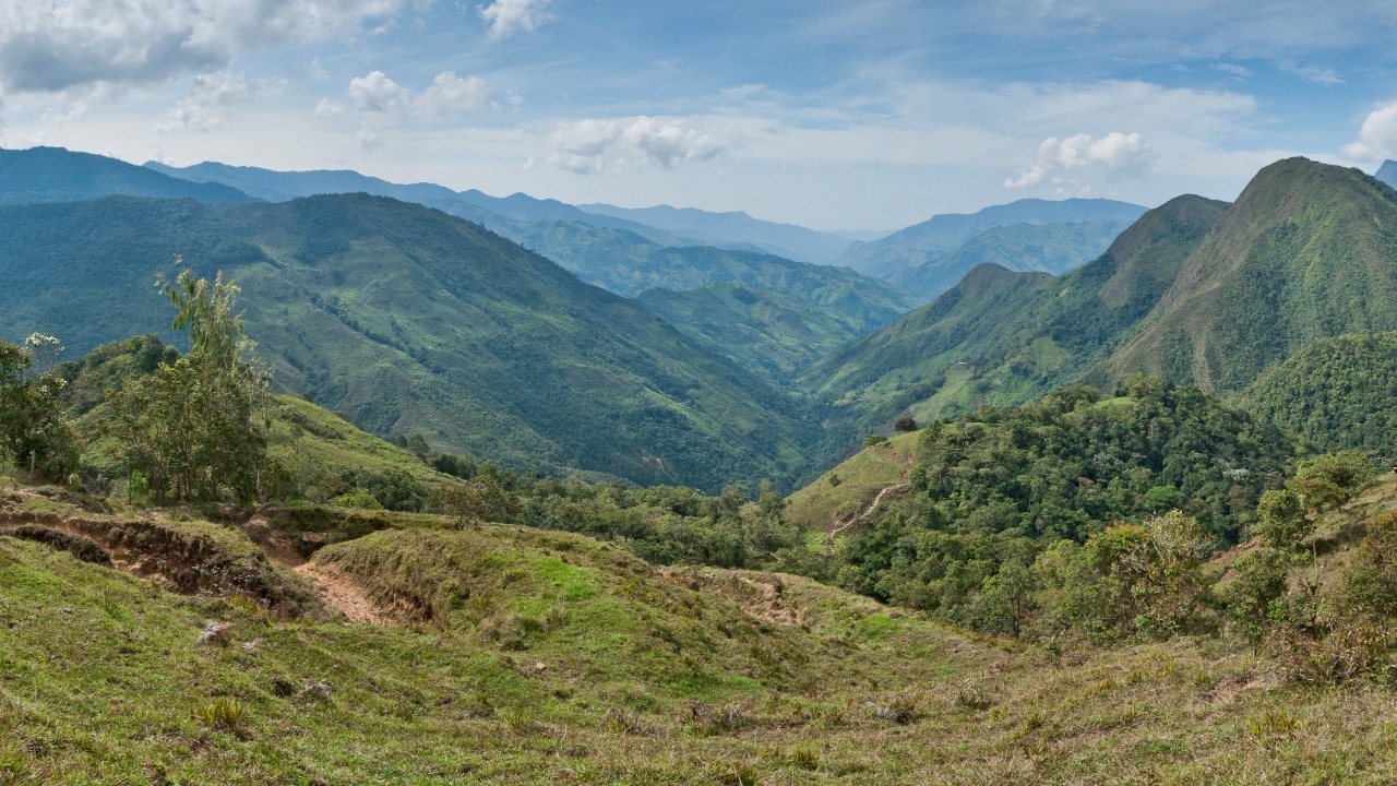 Image Credit: Paolo Costa Baldi - CC BY 3.0/Wiki Commons