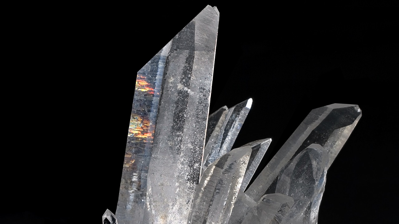 Image Credit: JJ Harrison (https://www.jjharrison.com.au/) - CC BY-SA 2.5/Wiki Commons