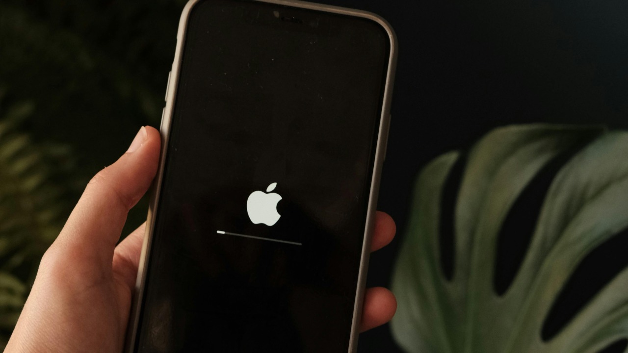 Beyzaa Yurtkuran/Pexels