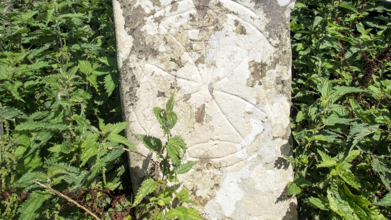 Image Credit: Neville Goodman - CC BY-SA 2.0/Wiki Commons