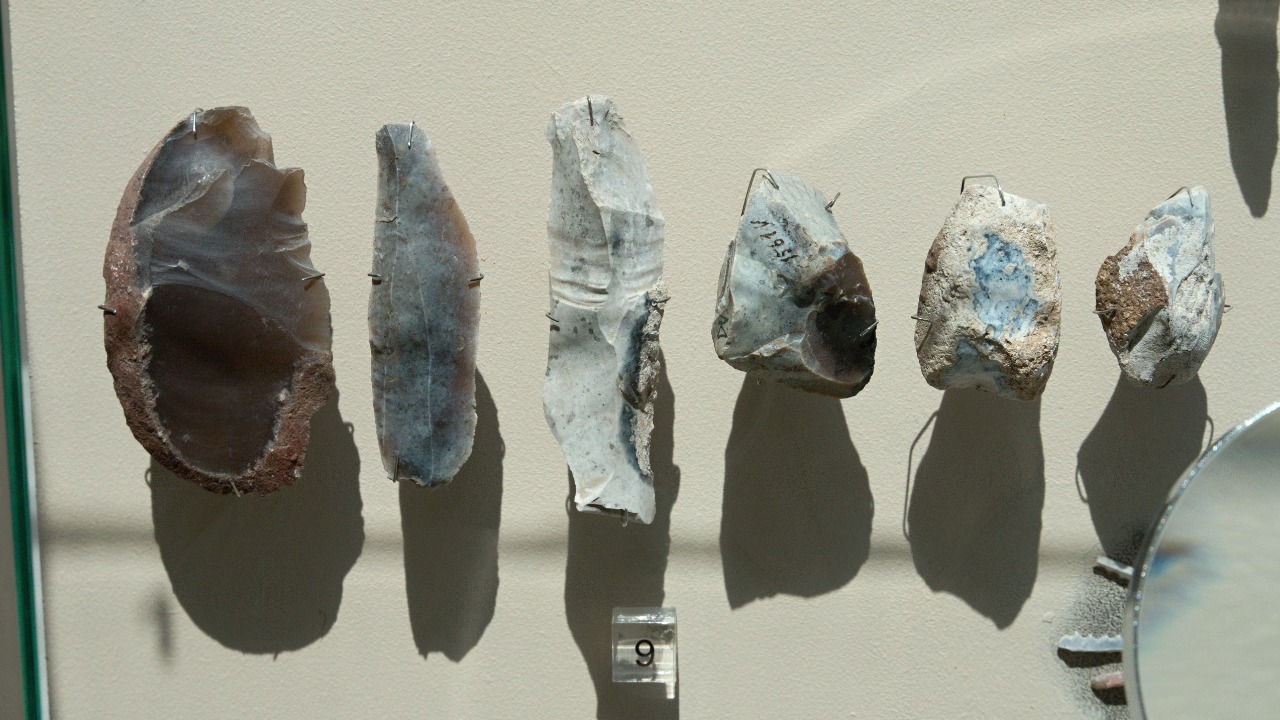 Image Credit: Zde - CC BY-SA 4.0/Wiki Commons