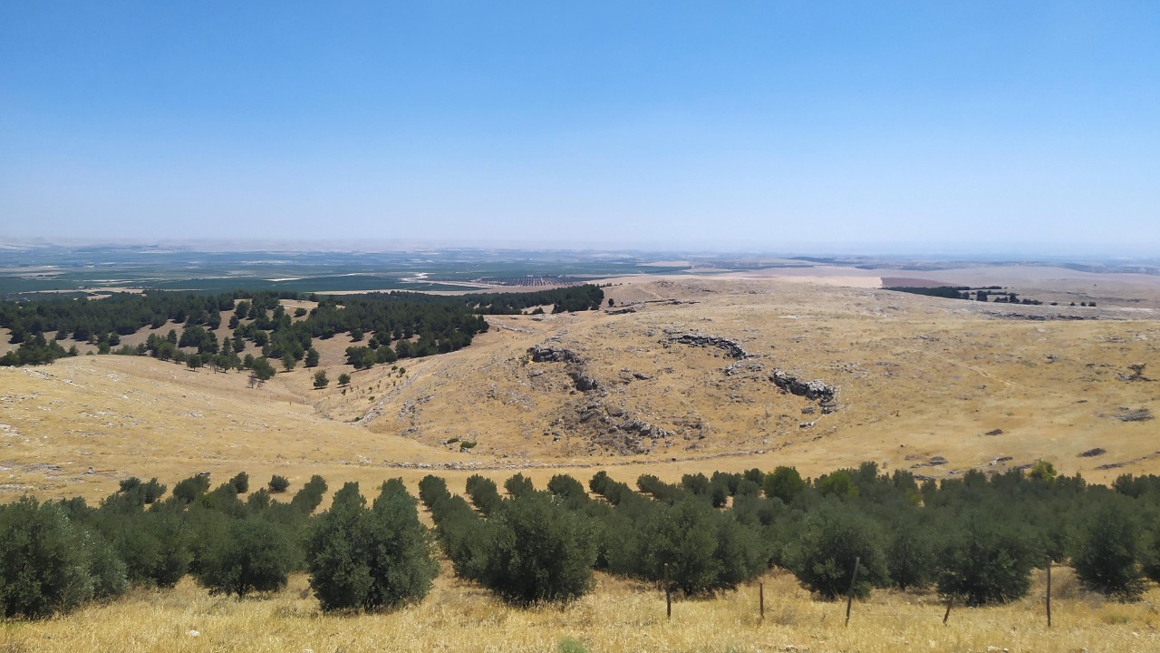 Image Credit: Radosław Botev - CC BY 3.0 pl/Wiki Commons