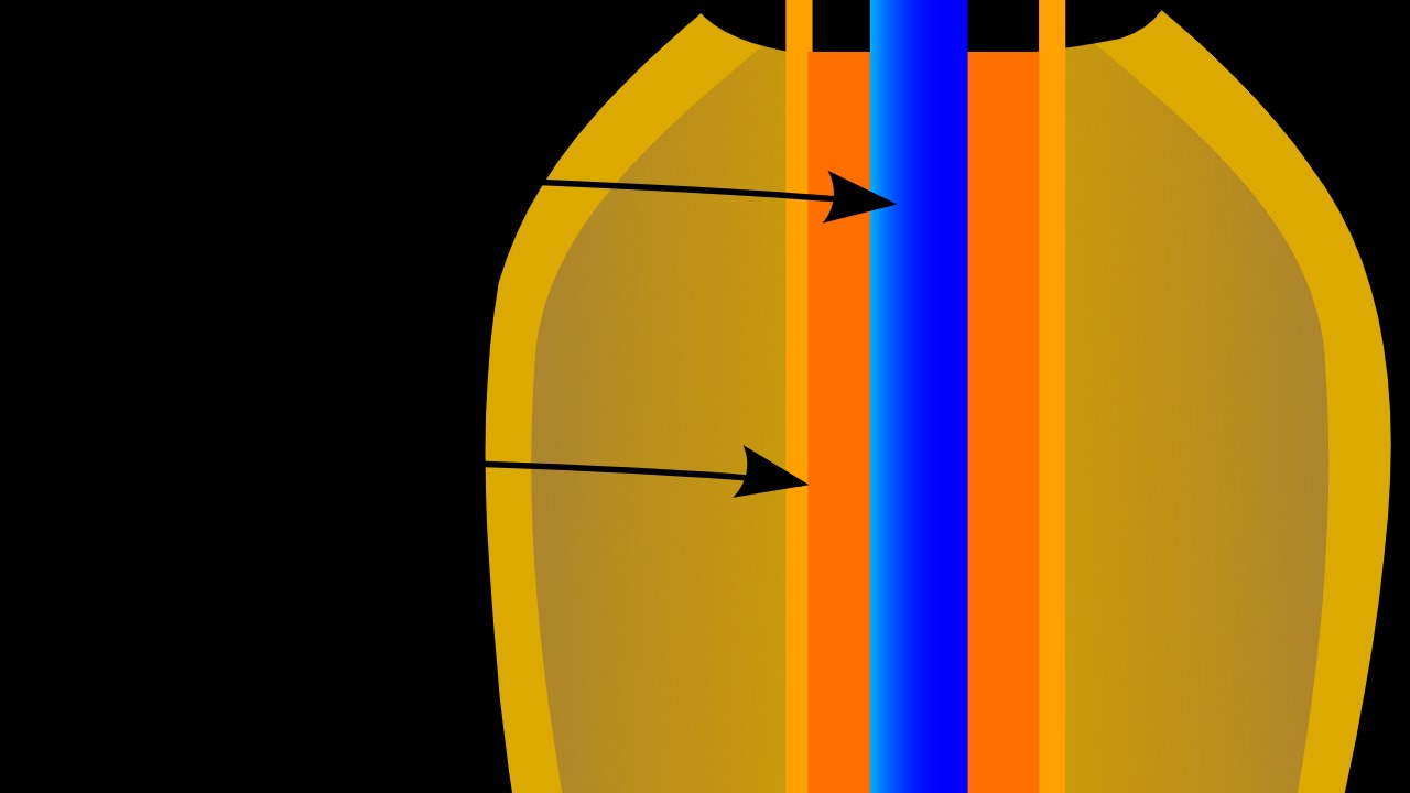 Image Credit: Chatsam - CC BY-SA 3.0/Wiki Commons