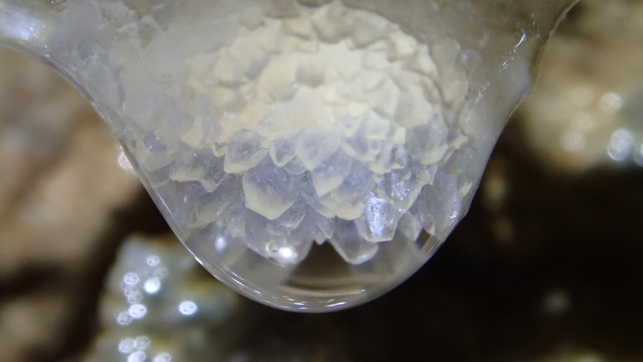 Image Credit: Andrea Massagli - CC BY 4.0/Wiki Commons