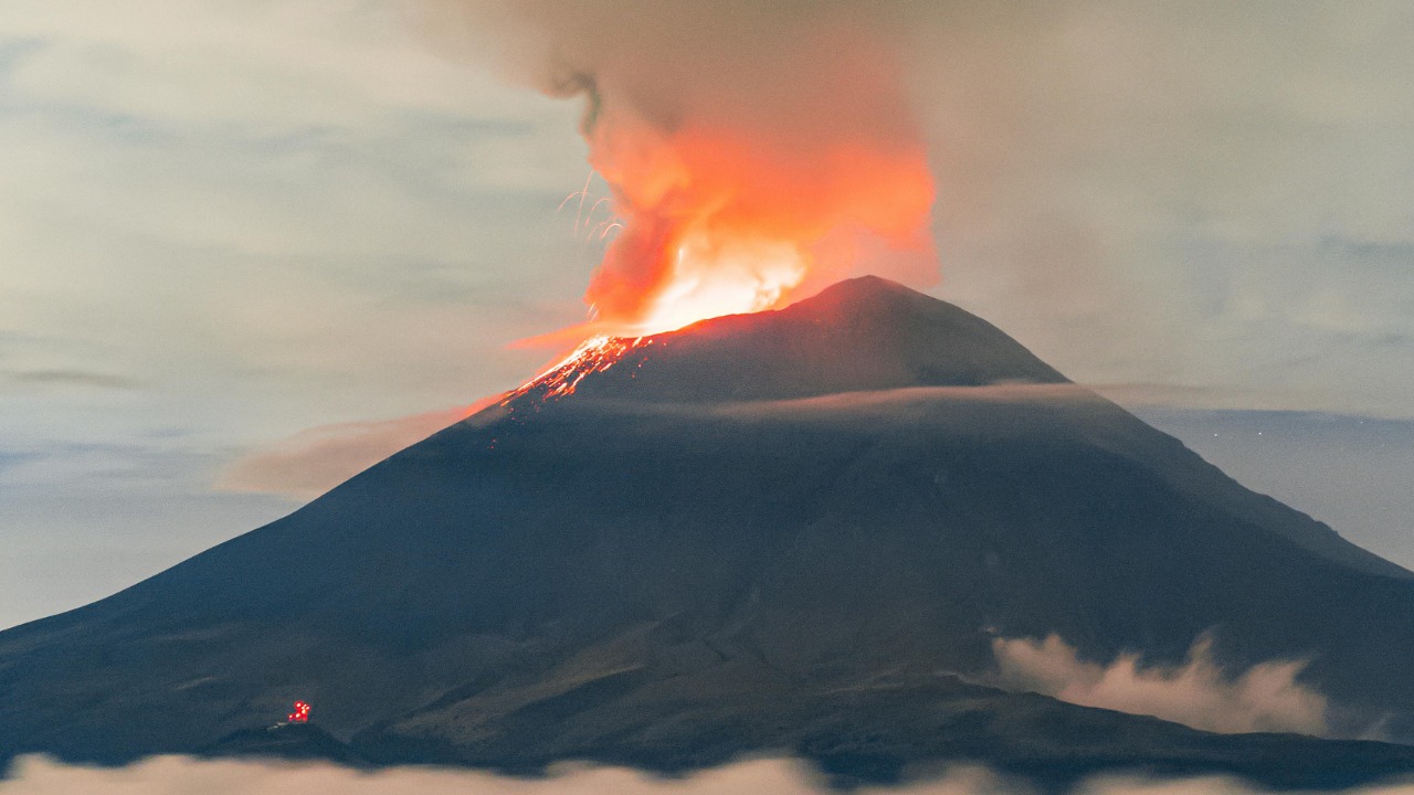 Israel Torres/Pexels