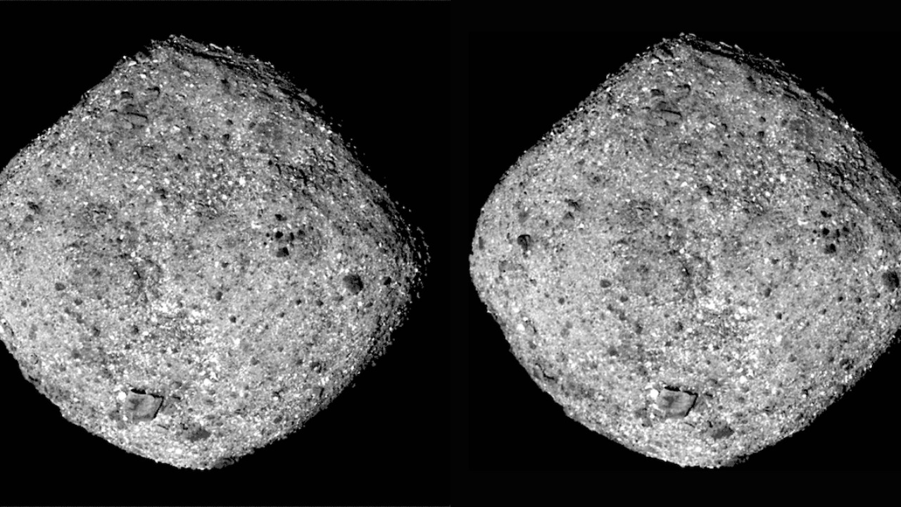 Image Credit: Wkflower - CC BY-SA 4.0/Wiki Commons