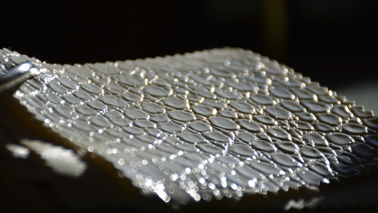 mariamartinezcano/Unsplash